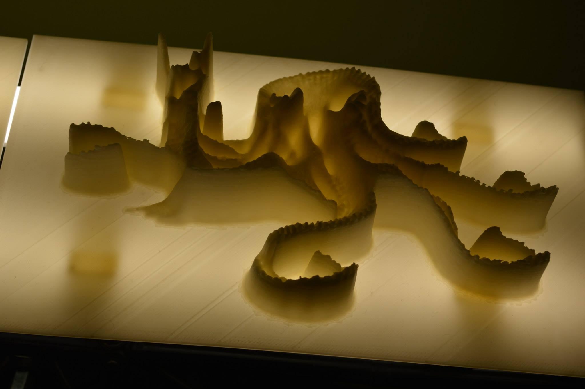 LulzBot’s Amazingly Thick 3D Printed Lithophanes Stun