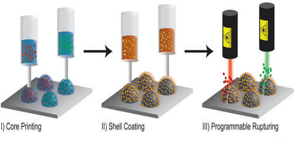 Researchers Use 3D Printing for Precise Control in Programmable Release
