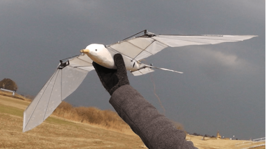 Japanese Doctor’s Hobby & Dreams Take Flight with 3D Printed