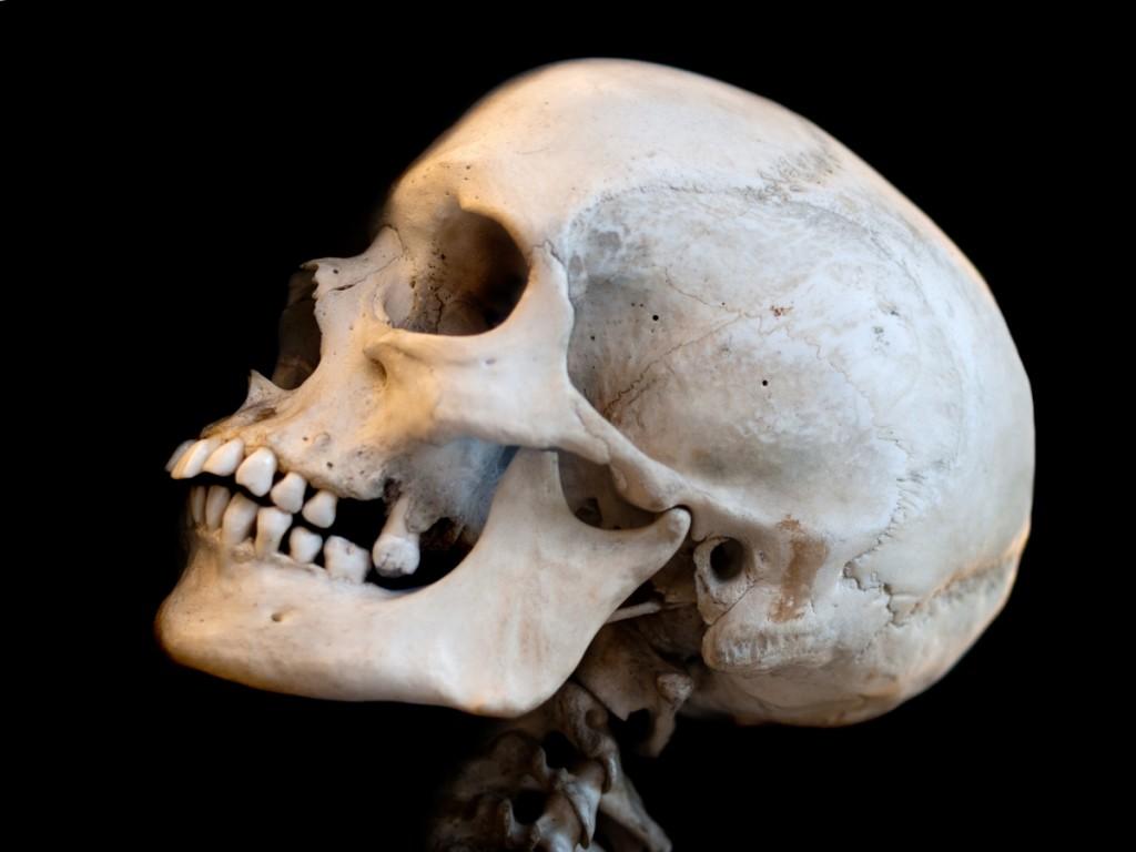 Western Australia Researchers Use 3D Printing to Make Headway with