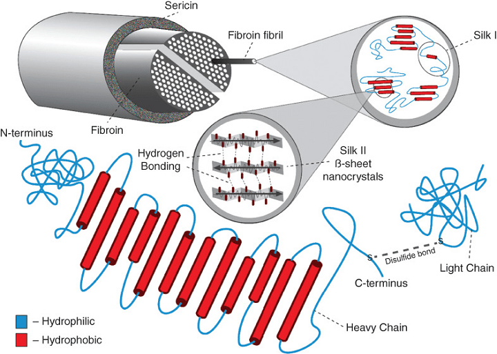 3D Printing Silk to Make Scaffolds for Regenerative Medicine Research