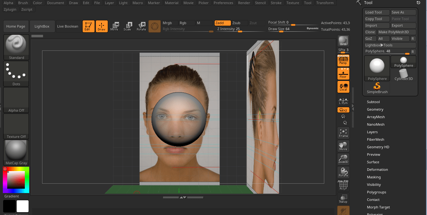 Working with ZBrush Modeling Software Tips, Tricks and Explanations