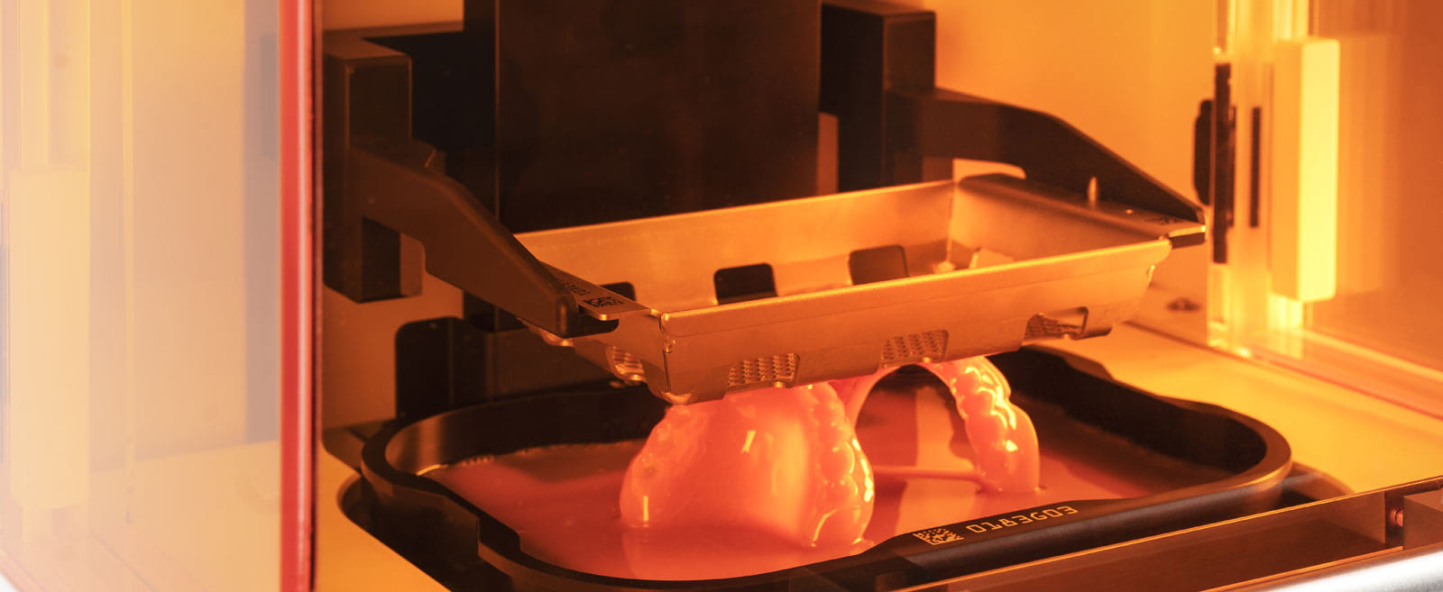 Options for Dental Printing 3D Printing