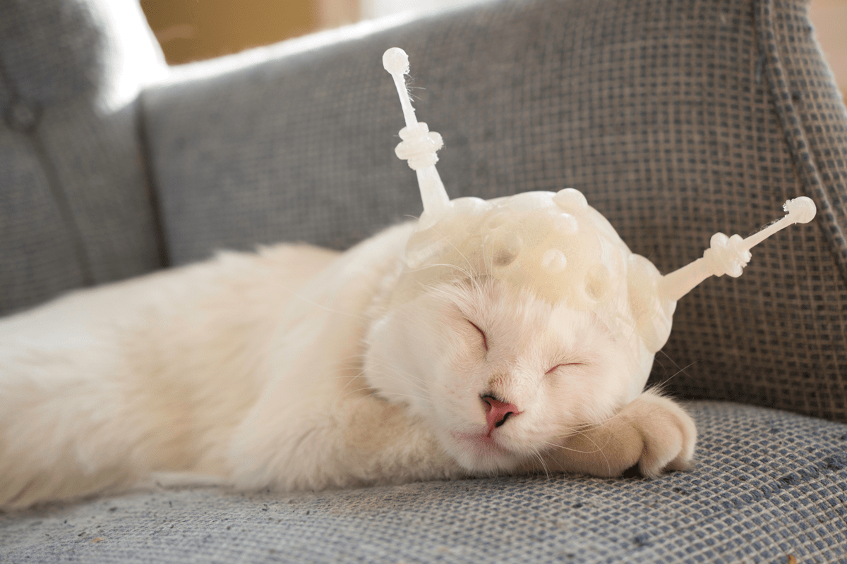 3D Printer Review the Just Released da Vinci Jr. from XYZprinting 3D