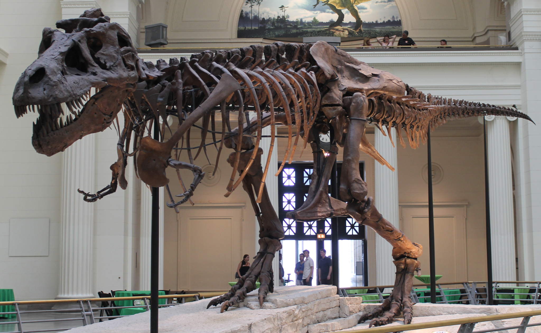 Mit Uses Kinect Scanner To Create 3d Models Of Sue The Tyrannosaurus Rex 3d Printing Industry