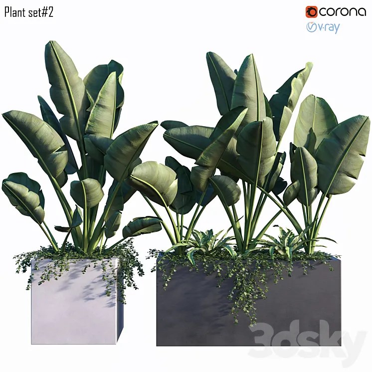 Plant Set 2 3DS Max 3ds Max Files
