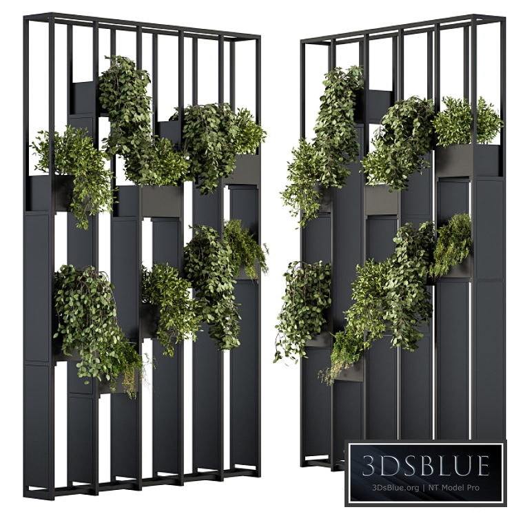 Green Wall Plants partition 02