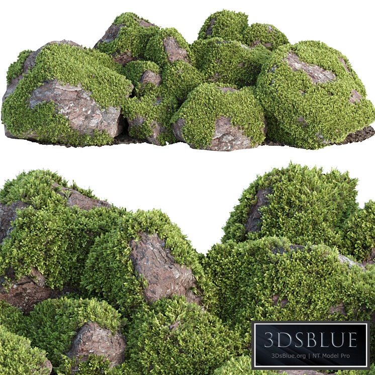 Mossy rock garden collection vol 140