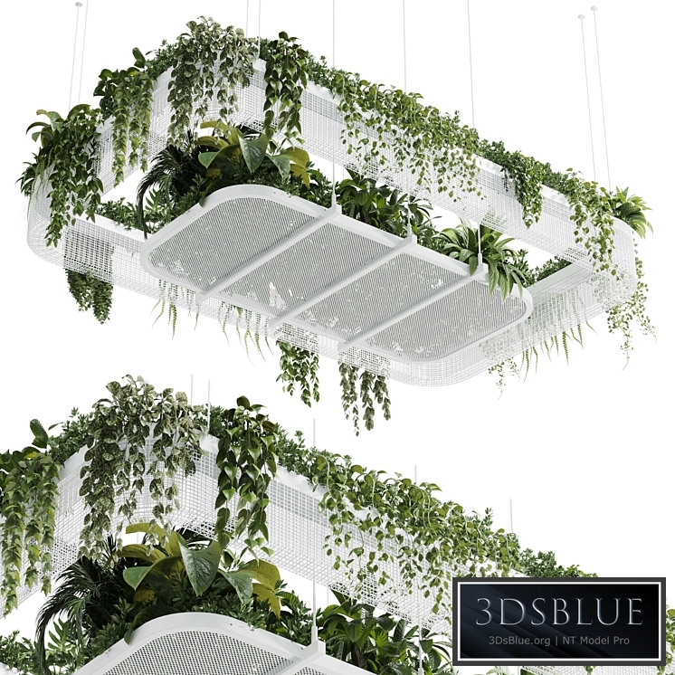 Hanging plants indoor plant 323 vray