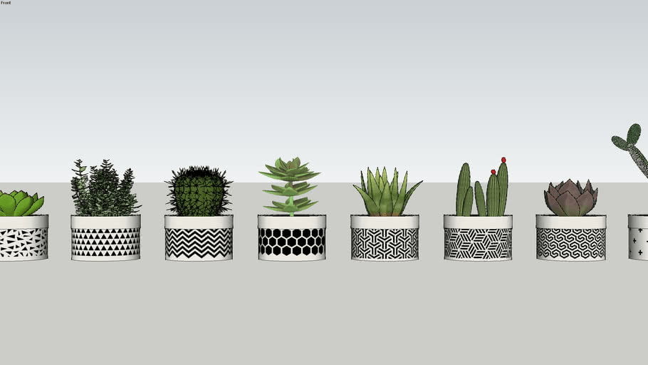 Plantitas 3D Warehouse