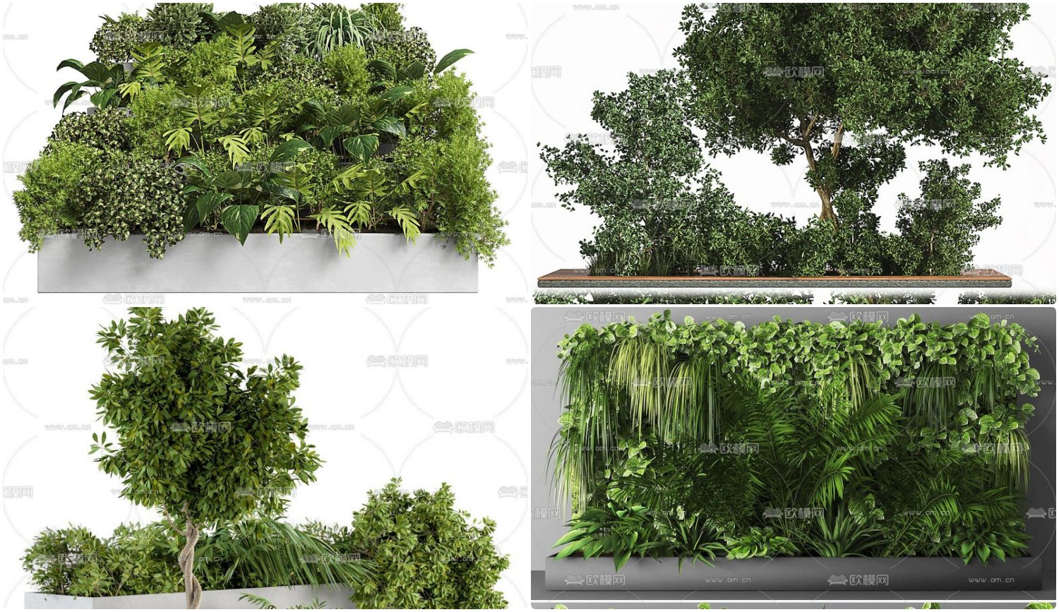 3d Plants Model 419 Free Download