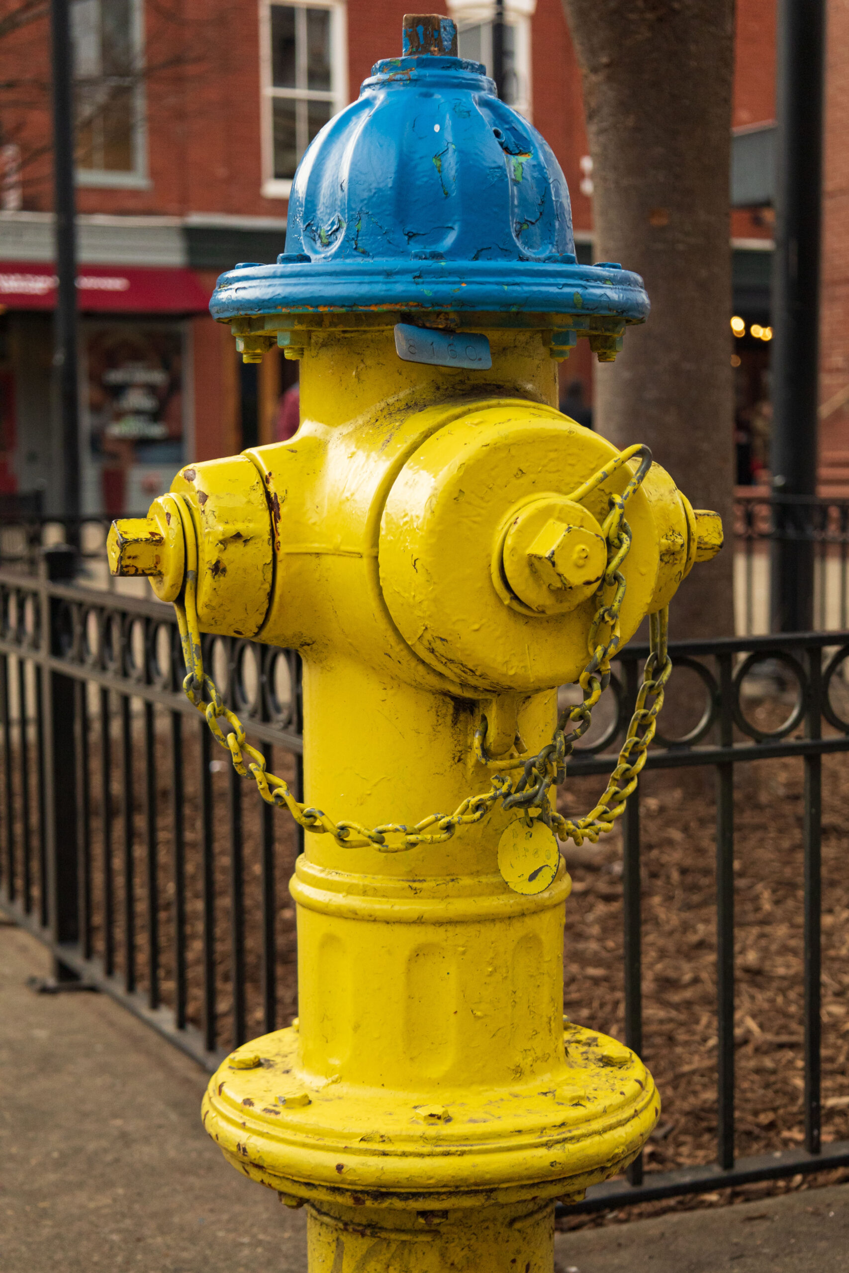 Market Square Knoxville 3 Larks Design