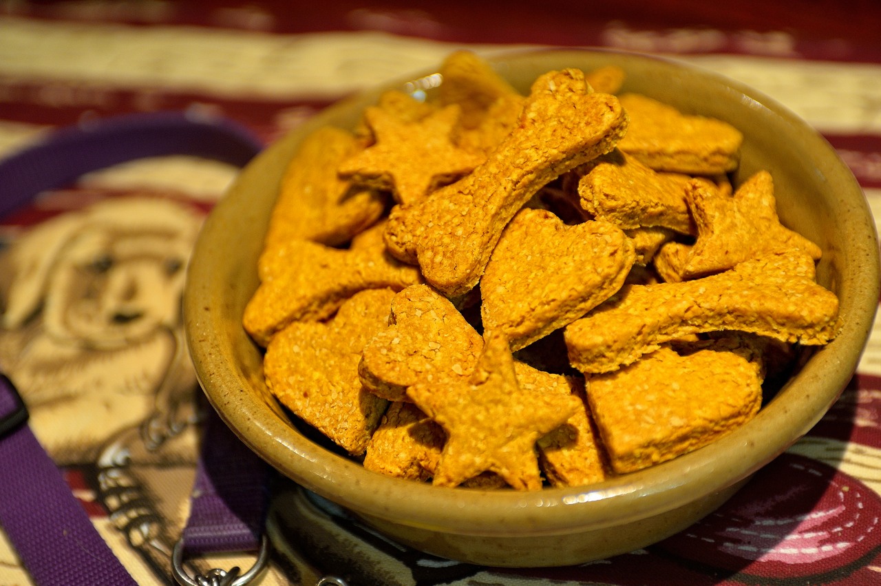 Peanut Butter Turmeric Dog Treats Recipe