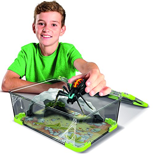 Wild Pets Spider Habitat Playset 3minutemaths.co.uk