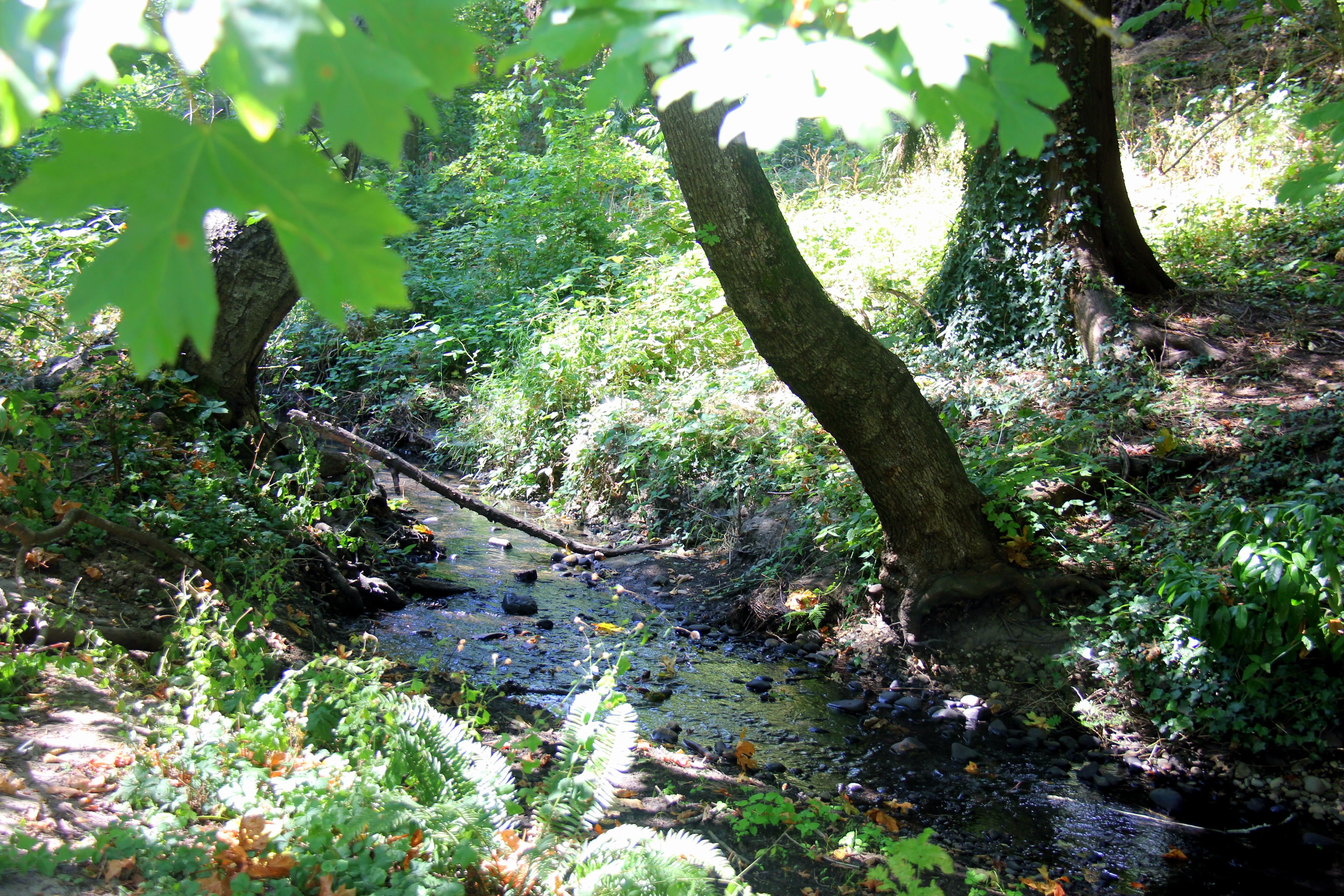 River Place