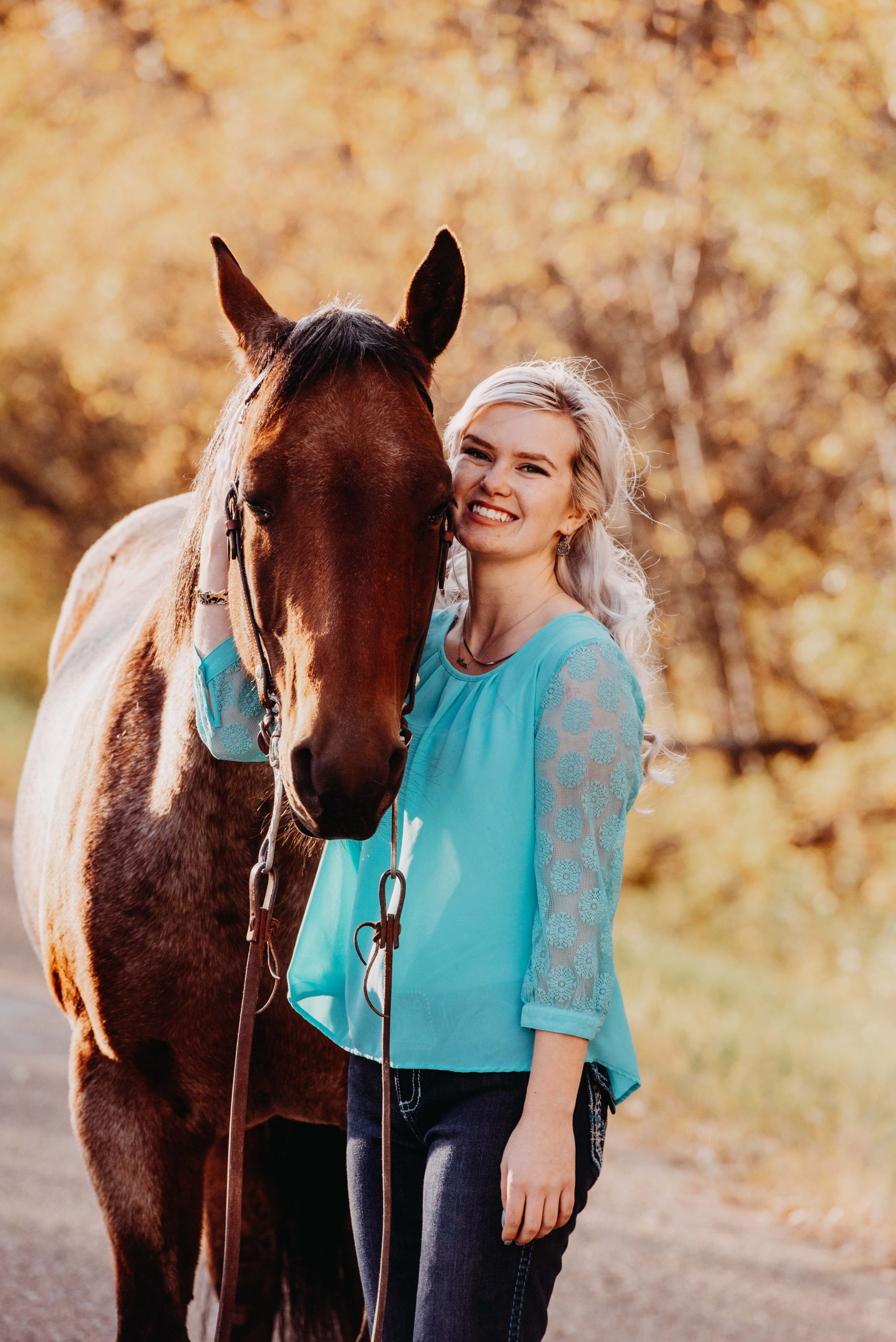 Blanket Cleaning & Repairs 3 Painted Ponies