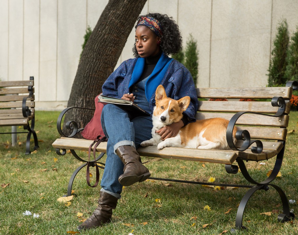 A Dog’s Purpose (DVD) Movie Review