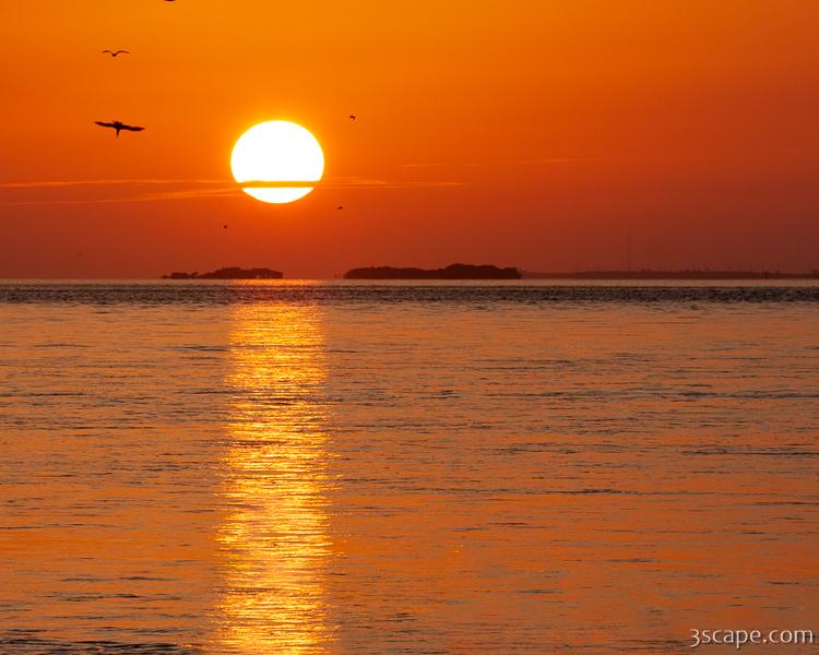 Florida Keys Sunset Photograph by Adam Romanowicz