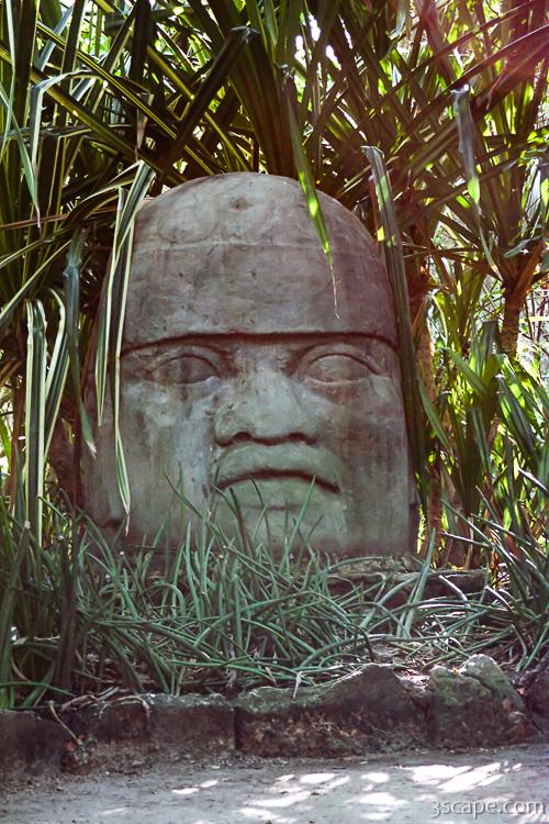 Giant Mayan head sculpture (Chankanaab Nature Park) Photograph by Adam Romanowicz