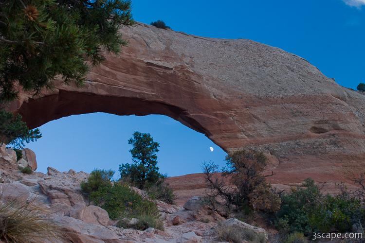 Wilson Arch Photograph by Adam Romanowicz