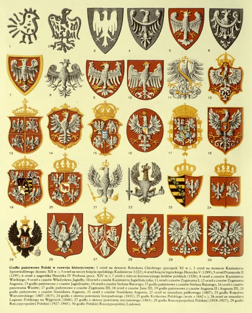 The Eagle Has Landed! Origins of the Polish National Emblem 3 Seas Europe