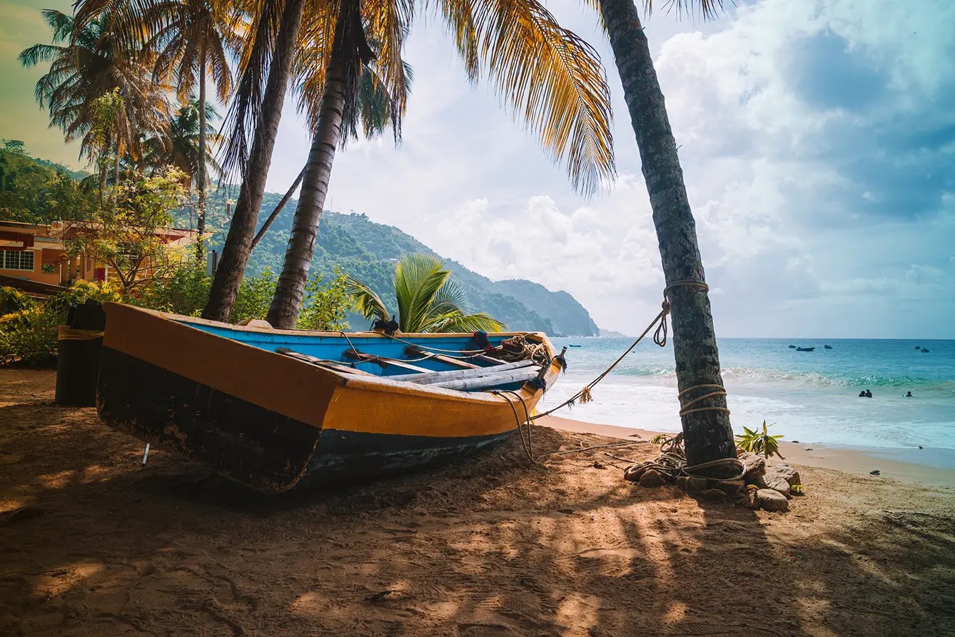 Polonia, Rule the Waves! The Rise and Fall of Polish Colonies 3 Seas