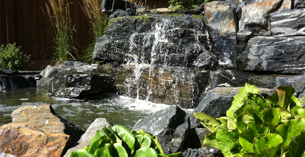 TESTIMONIALS 3 Seasons Landscaping Inc.