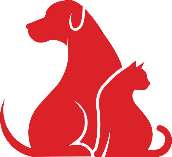 Best Pet Food Importer Company 3S Impex Bangladesh