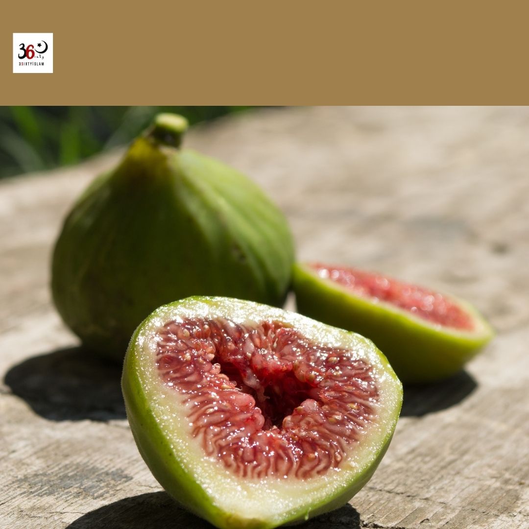 THE HEALTH BENEFITS OF THE FIGS FRUIT IN ISLAM 3 S I X T Y I S L A M