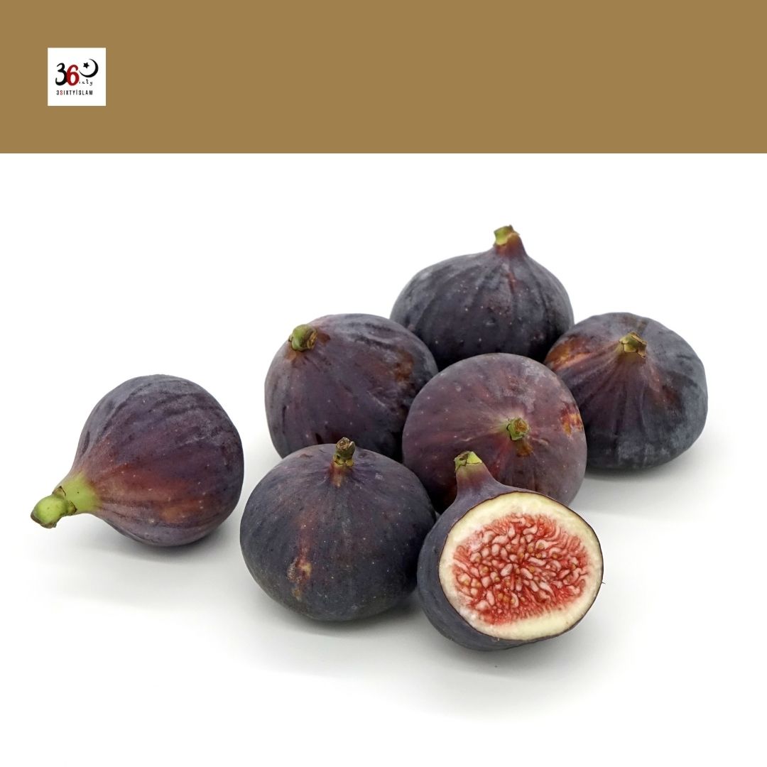 THE HEALTH BENEFITS OF THE FIGS FRUIT IN ISLAM 3 S I X T Y I S L A M