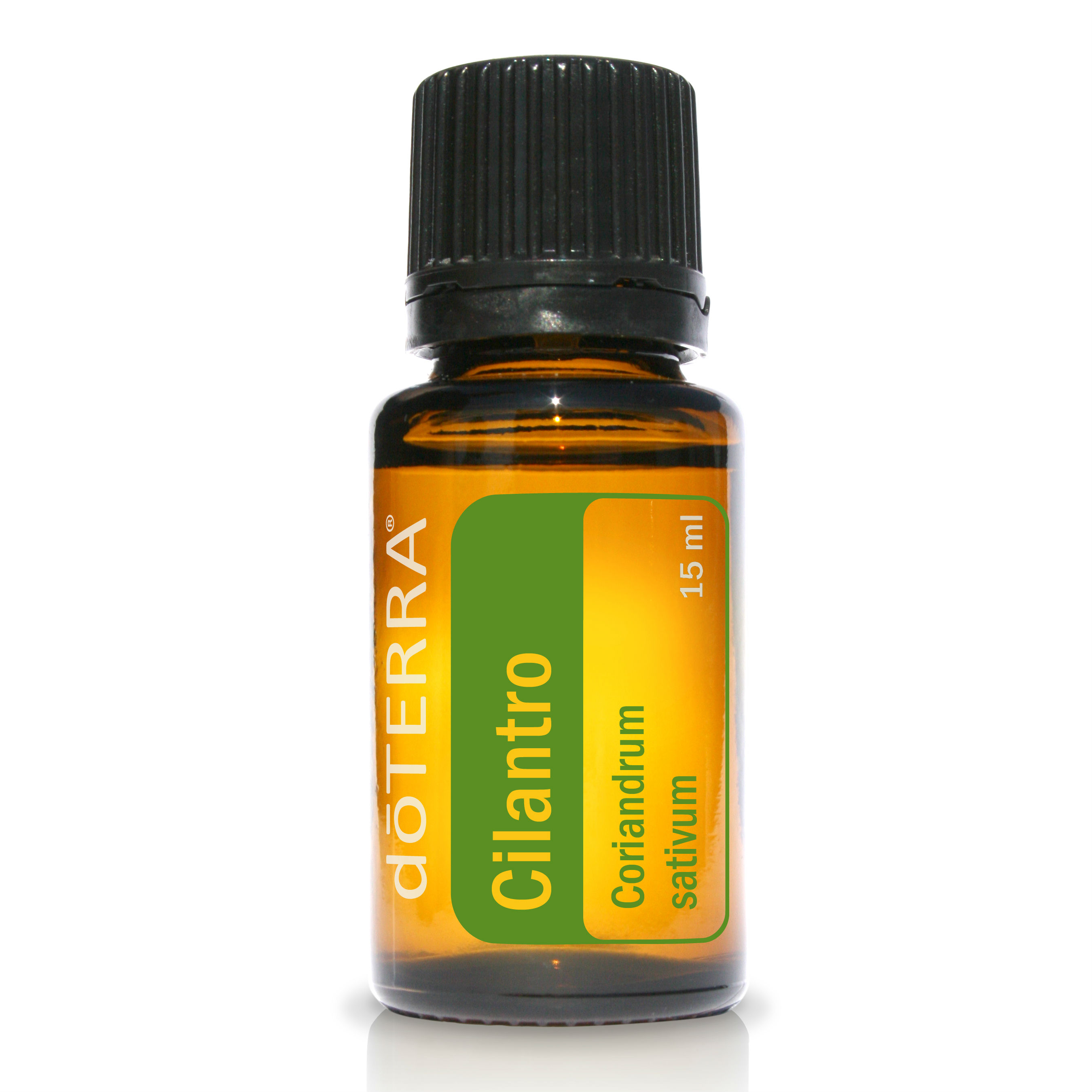 Cilantro Essential Oil Rebecca Hintze