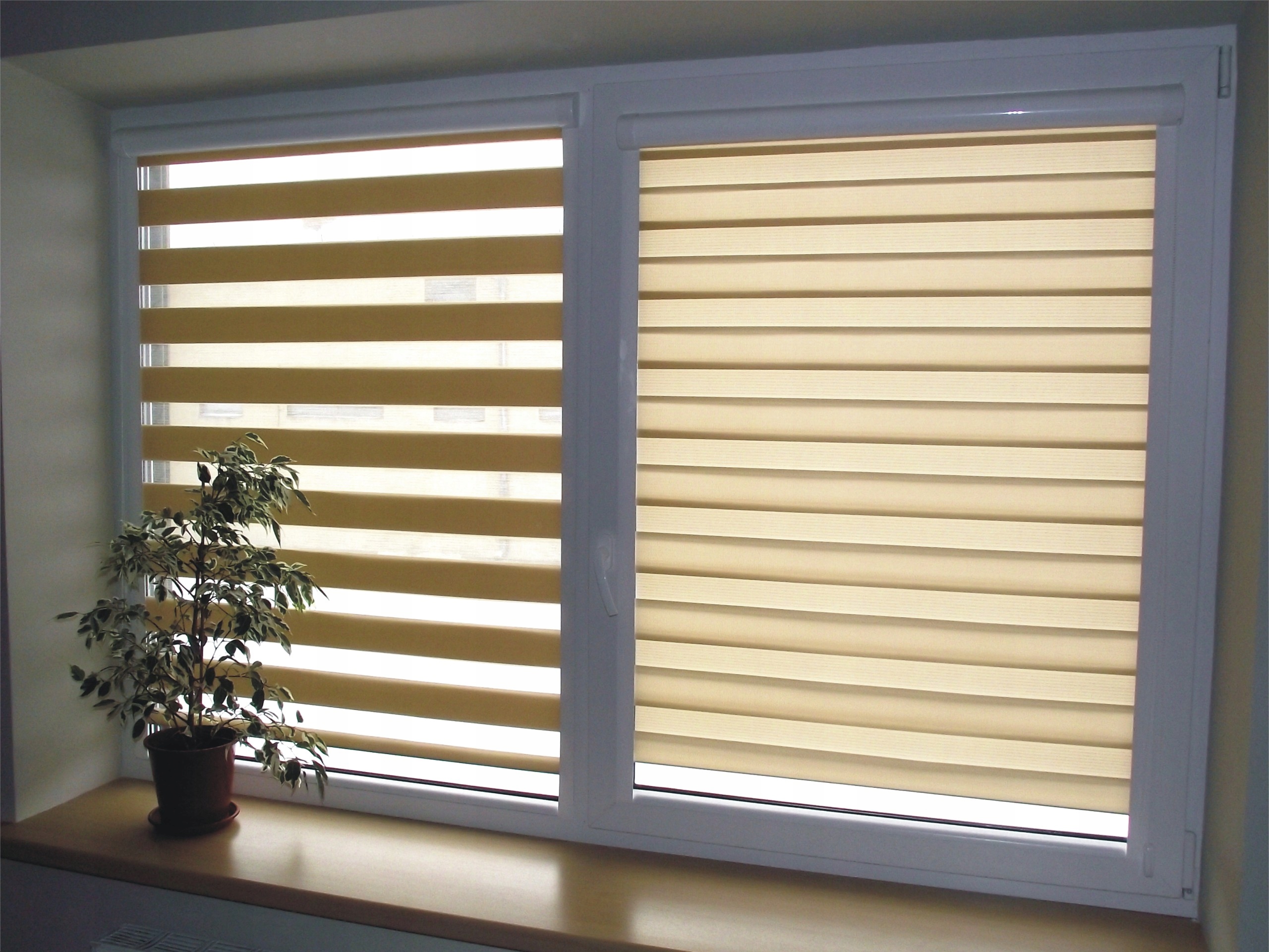 Rolety Dzień i Noc w Kasecie z Prowadnicami DN 7684812247 oficjalne archiwum allegro