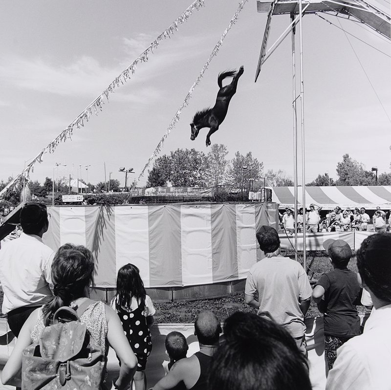 Orange County Fair, Middletown, NY, Toby Old Mia