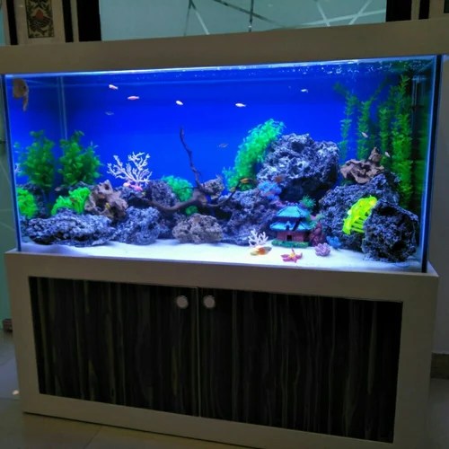 Aquarium Tank, Size 3.5 feet at Rs 18000/piece in New Delhi ID