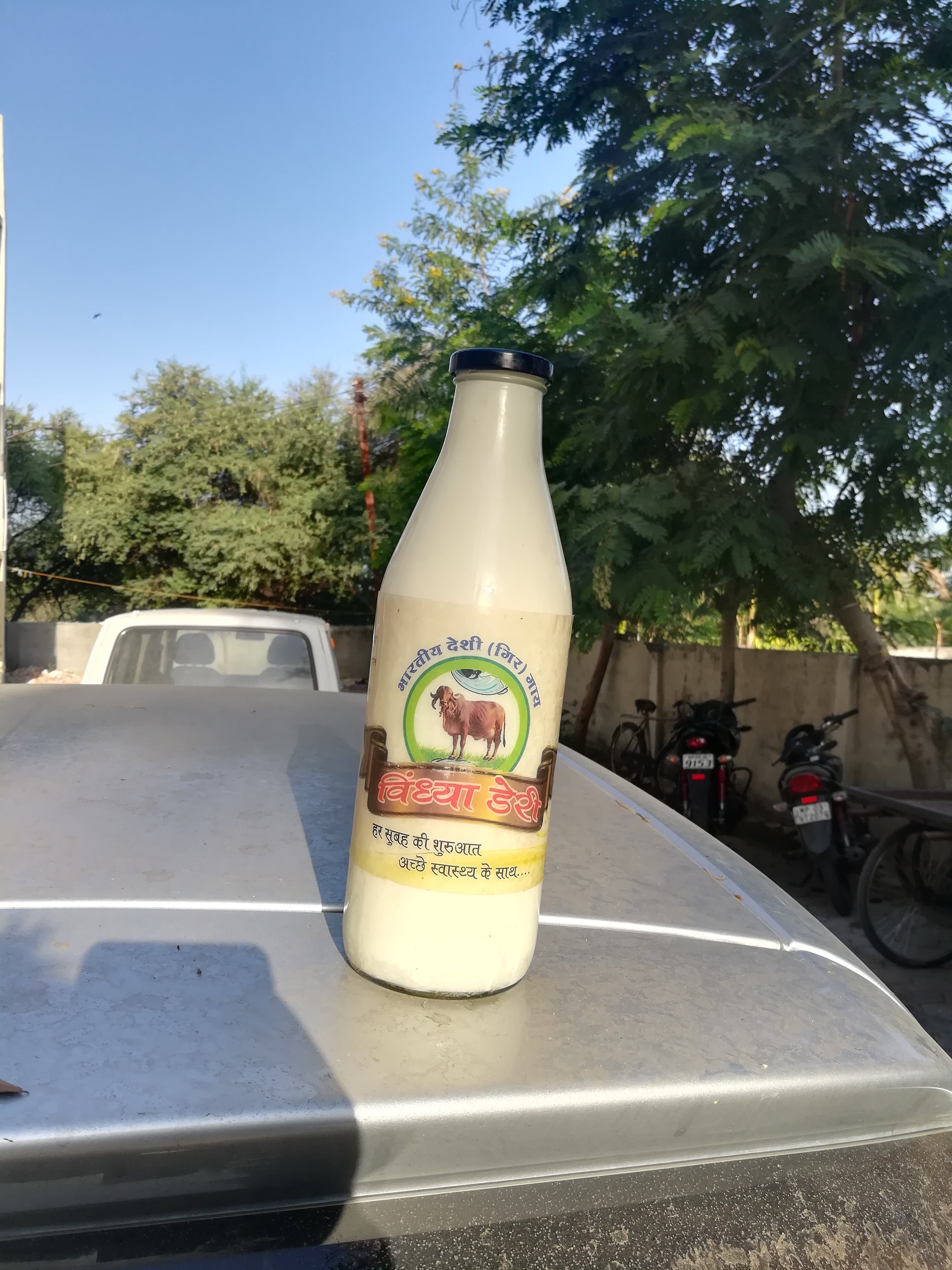 Fresh A2 Gir Cow Milk, New Items VINDHYA DAIRY, Indore ID 18156634633
