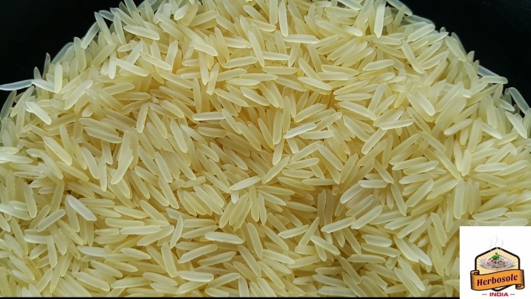 1509 Golden Basmati Rice, 25kg, Rs 60000 /ton Herbosole India Rice ID