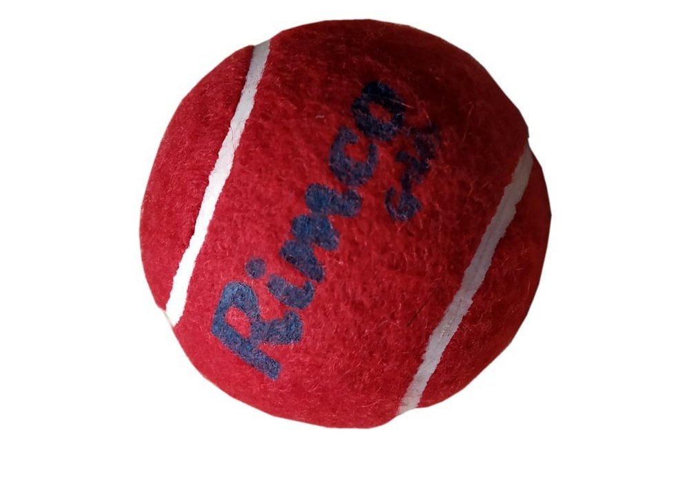Cricket Ball at Best Price in India