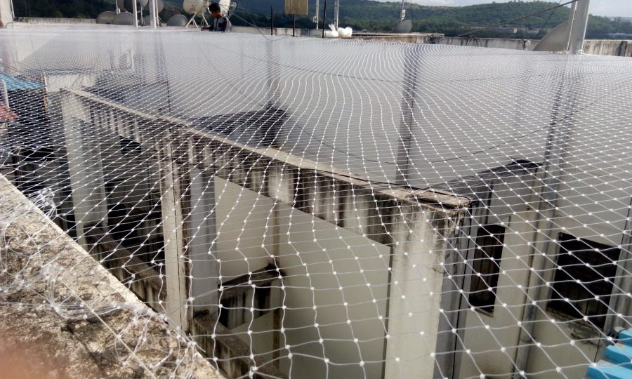 Bird Net Installation Services at Rs 18/square feet bird netting