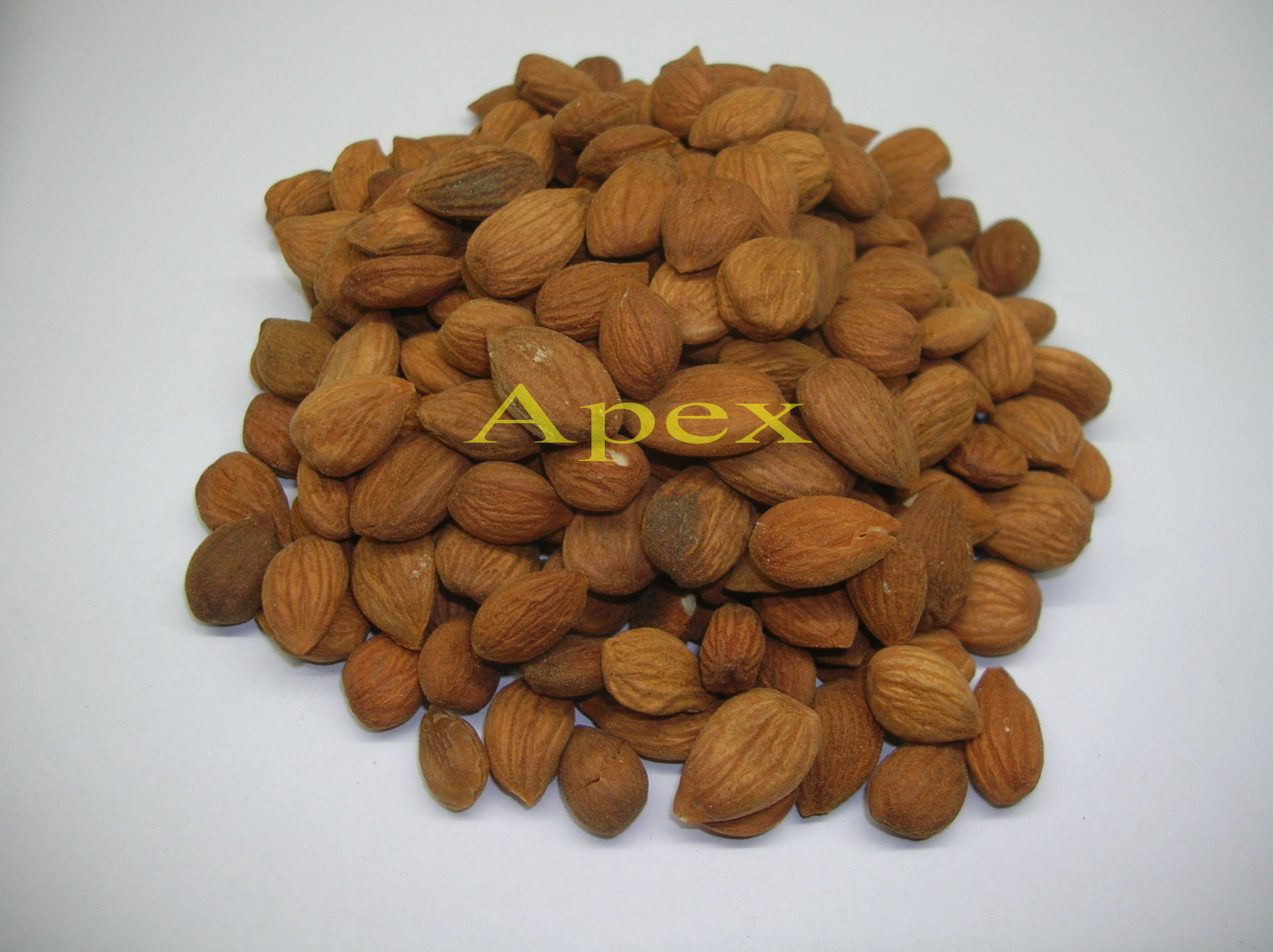 Apricot Kernel, Packaging Size 20 kg, Rs 210 /kg Apex International