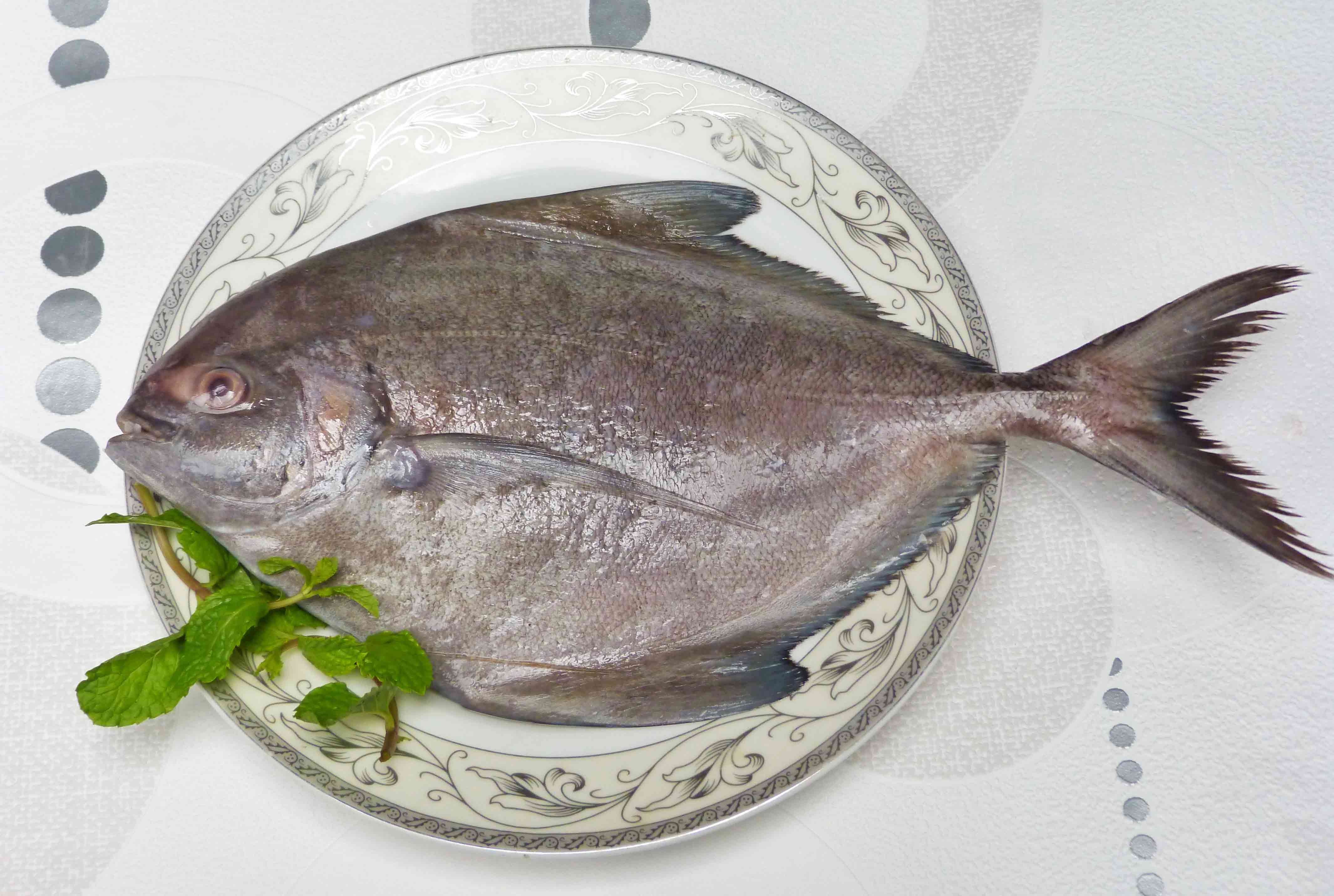 Halwa Fish Foods, Aquarium Fish Food, Aquarium Fish Feed, मछली का खाना