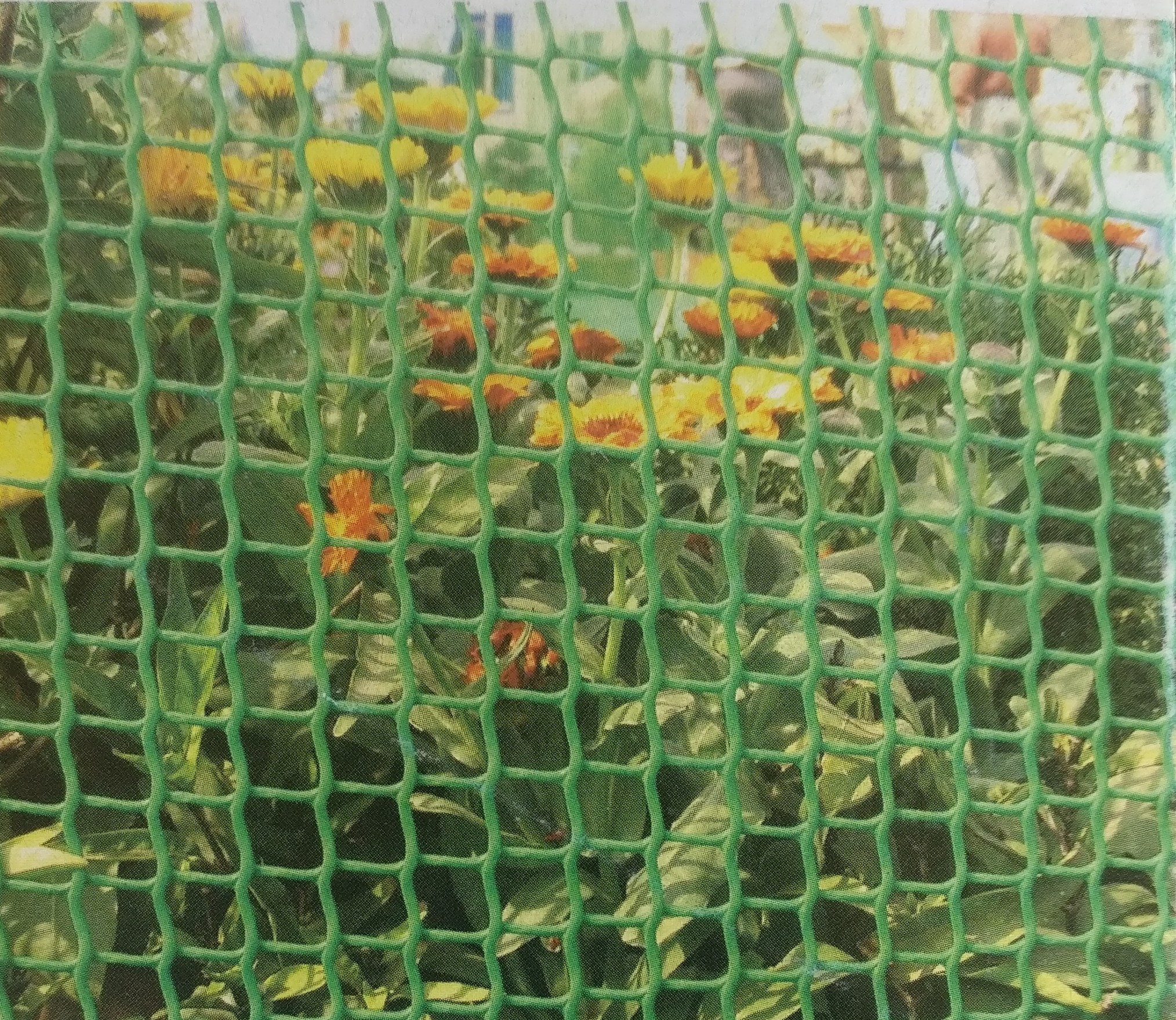 Garden Fencing Net, Garden Border Fence, बगीचे की बाढ़ in Ram Nagar