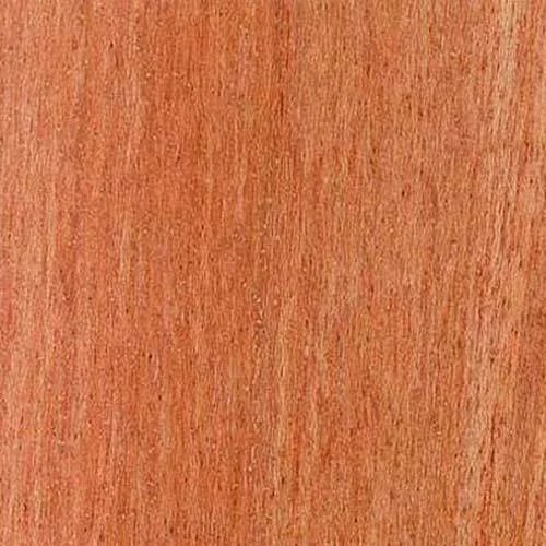 Dark Red Meranti Wood at Rs 751/cubic feet Meranti Wood in New Delhi