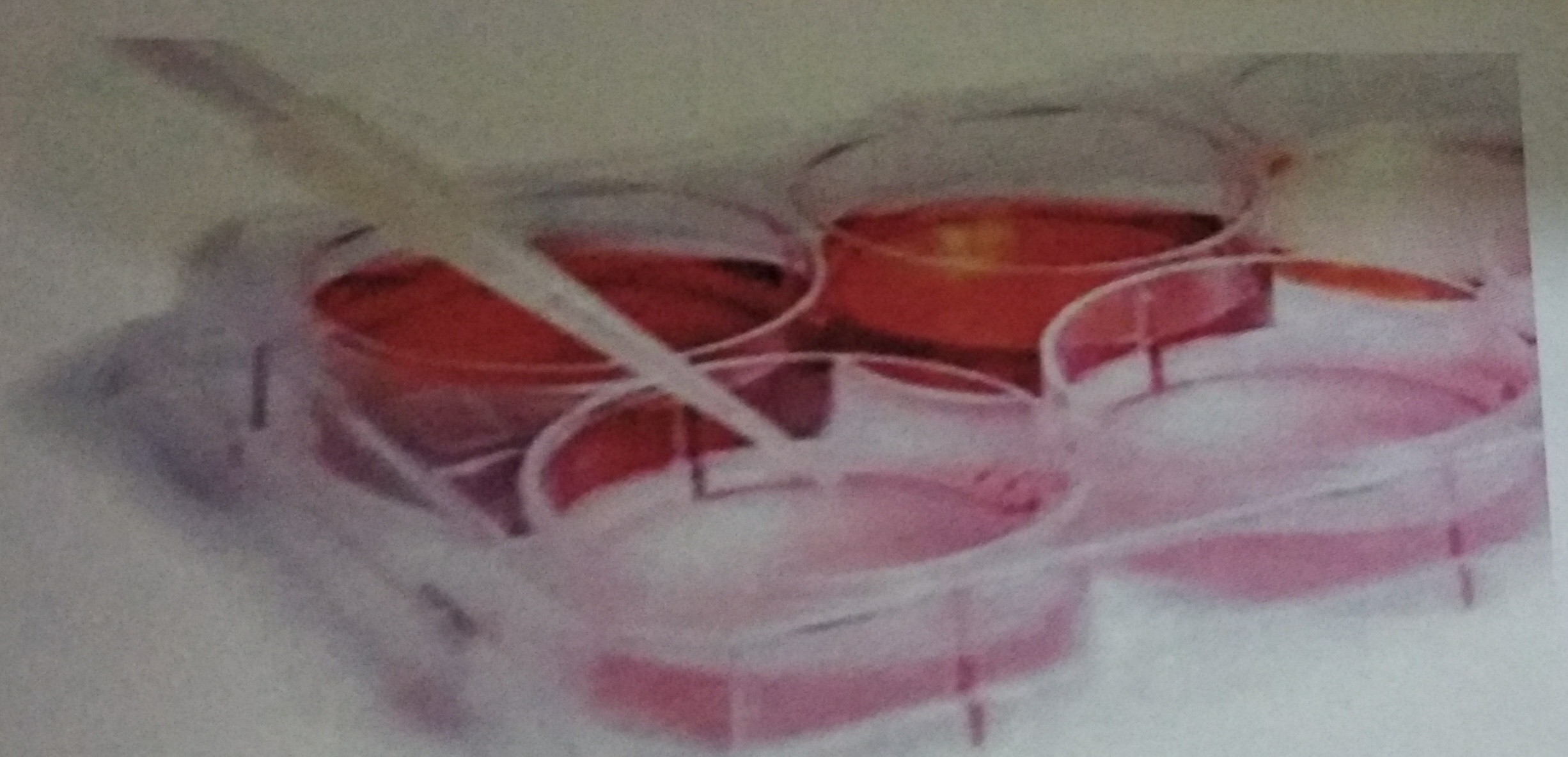 Edible Oil Testing Services in Pratap Vihar, Ghaziabad ID 19861739288