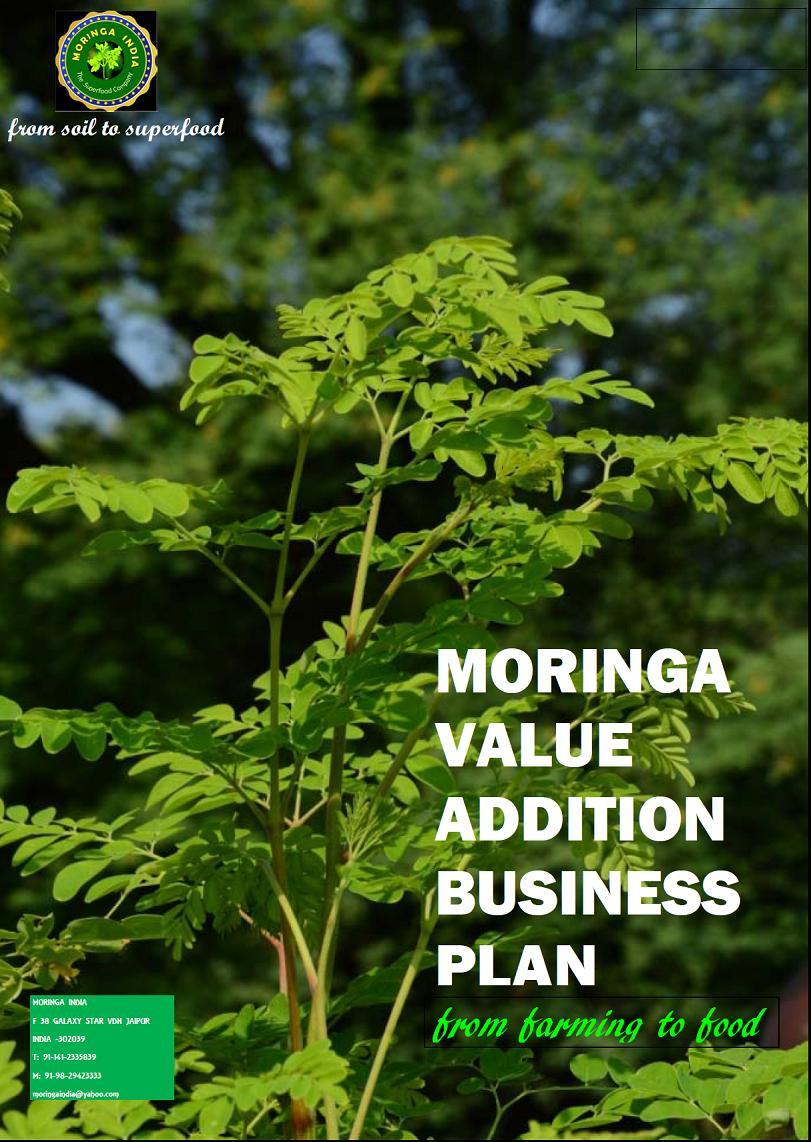 Moringa Value Addition Business Plan in Vidhyadhar Nagar