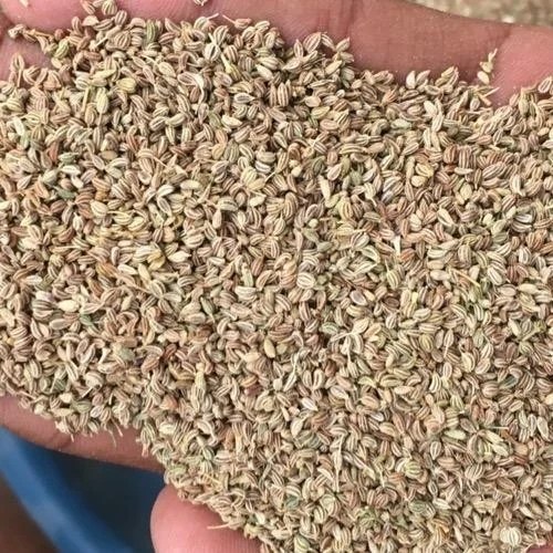 Ajwain (vaamu), Carom Seeds, Thymol Seeds, Carom, Tymol Seeds, अजवायन