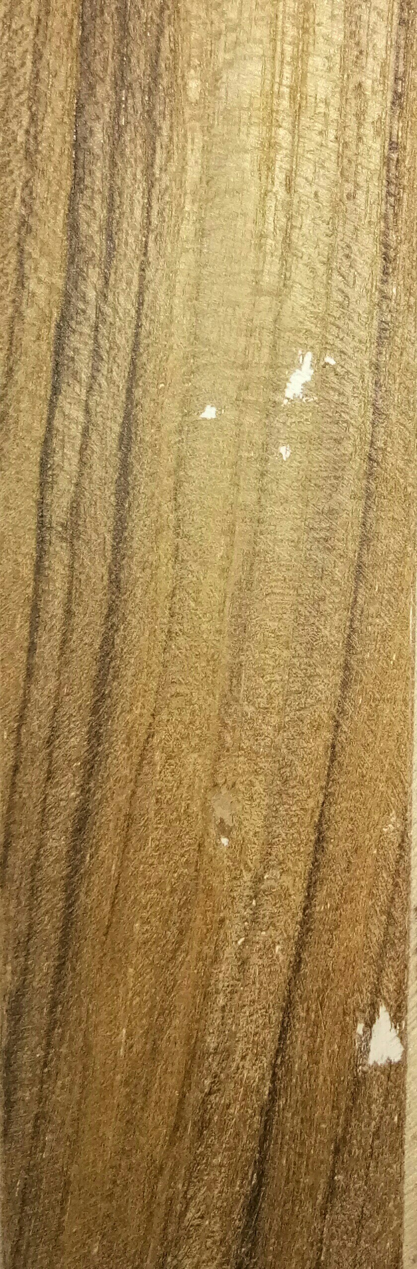 Red Sagwan Wood, Grade M. P. Teak, Rs 4000 /cubic feet Sun Sales Corporation ID 19753131312