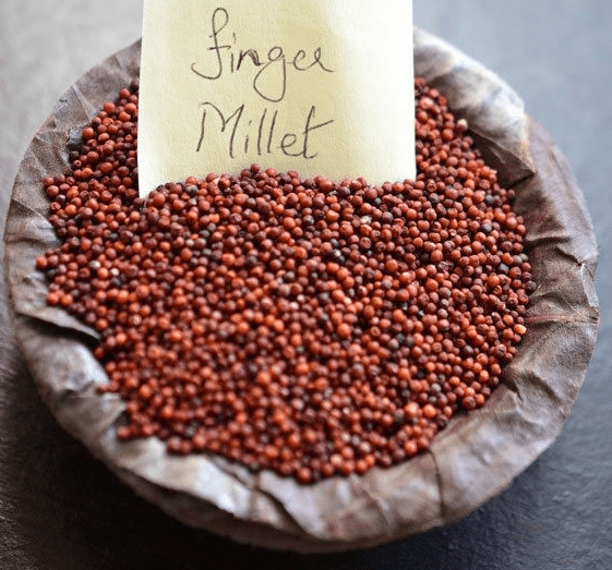 Finger Millet, बाजरे के फिंगर बीज, रागी के बीज, फिंगर मिलेट सीड in