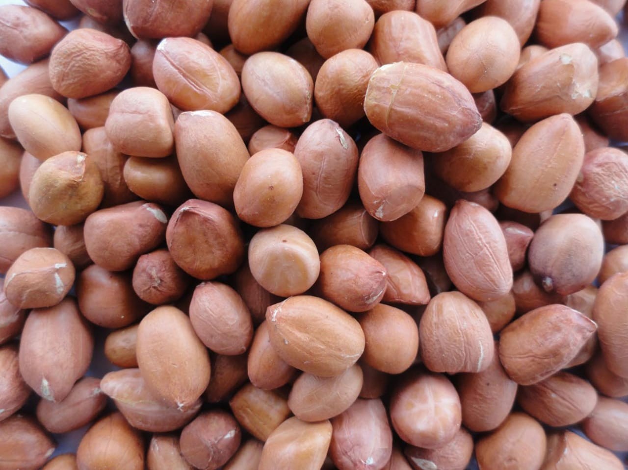 NEW Groundnut, Packing Size 1 kg 2 kg 5 kg 10 kg, Rs 100 /kilogram IJ