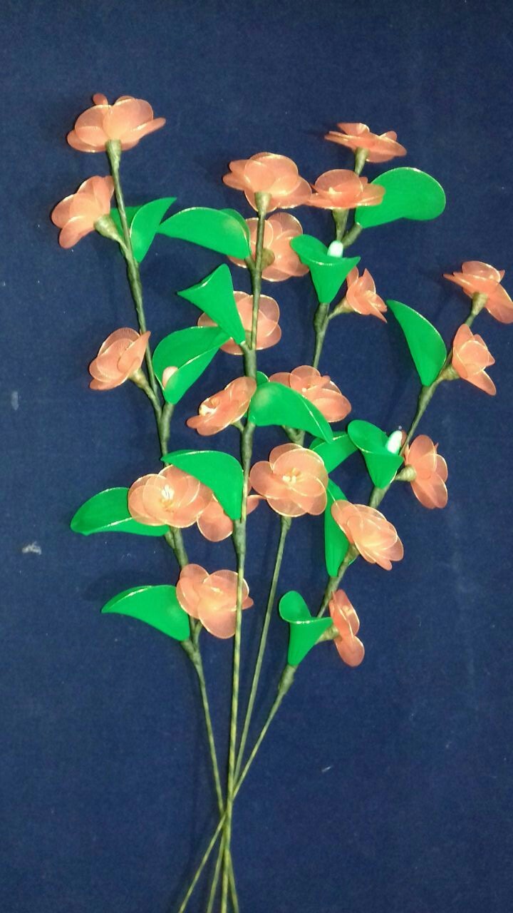 Nylon Stocking Flowers, Matthiola Incana, स्टॉक फ्लावर Sakuntalam