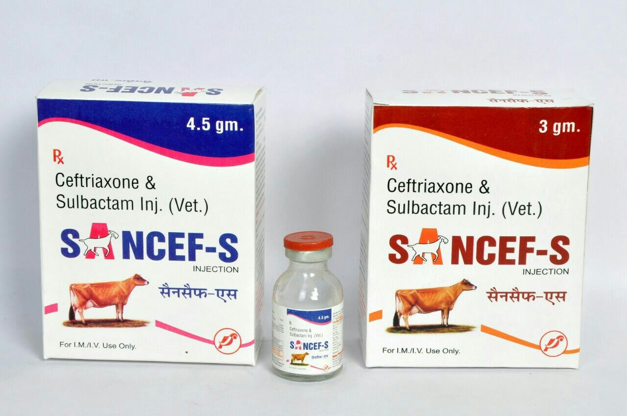 Veterinary Drugs, Packaging Type Bottle, Rs 294 /pack Pharmika India